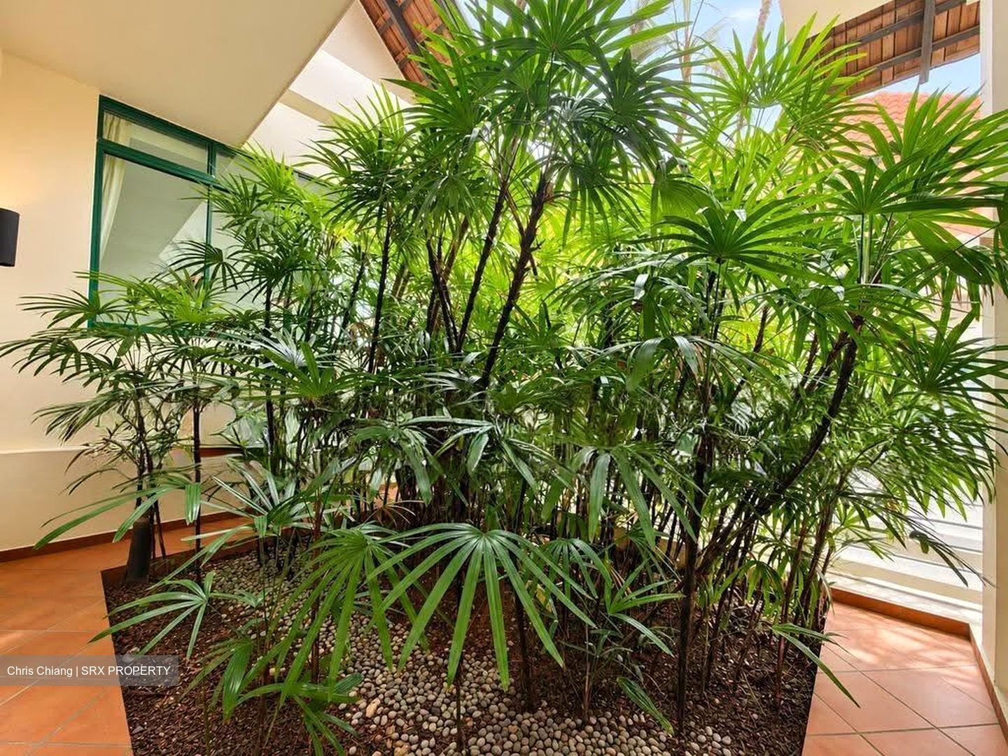 Serangoon Garden Estate (D19), Detached #639519661